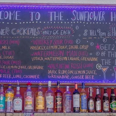 אכסניה Sunflower ברלין