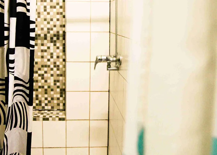 شباب صن فلاور *