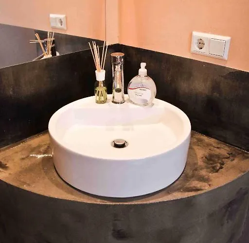 شباب صن فلاور بيت شباب *