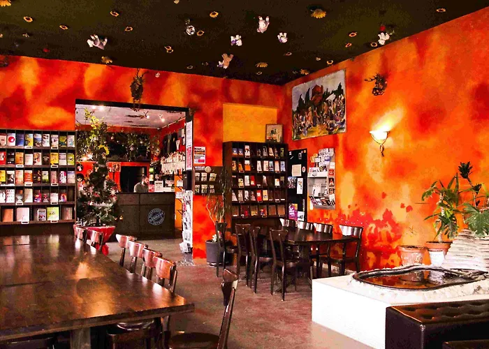 بيت شباب شباب صن فلاور *