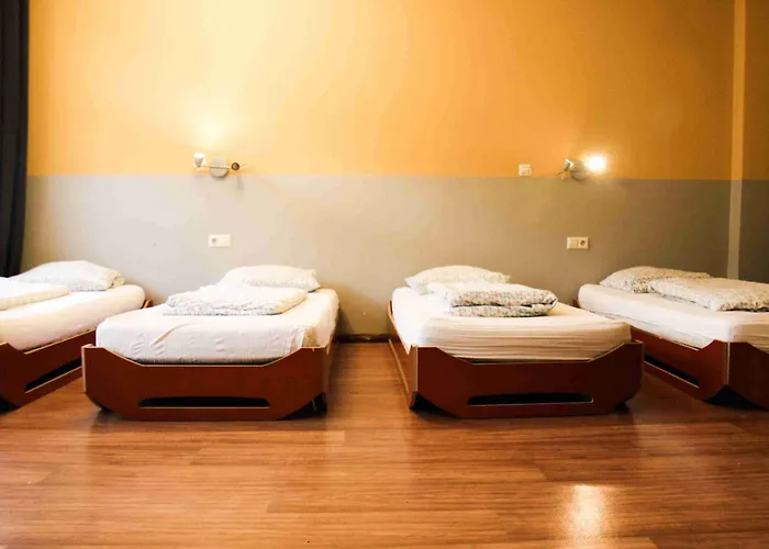 Sunflower Auberge de jeunesse Berlin